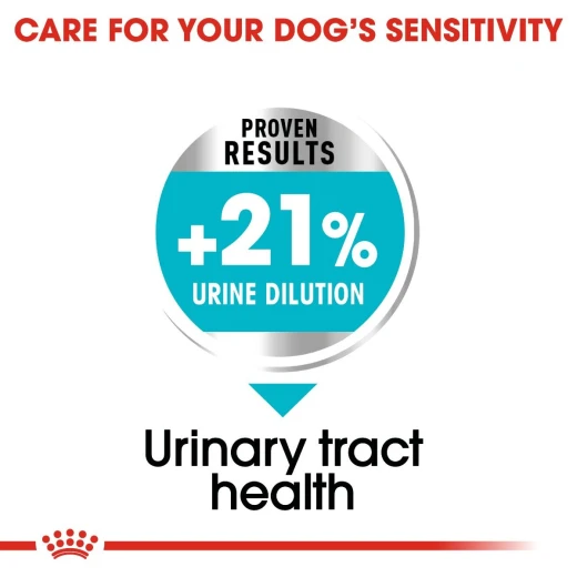 Royal Canin Mini Urine Care Dog Food, 3 Kg - Royal Canin - Image 4