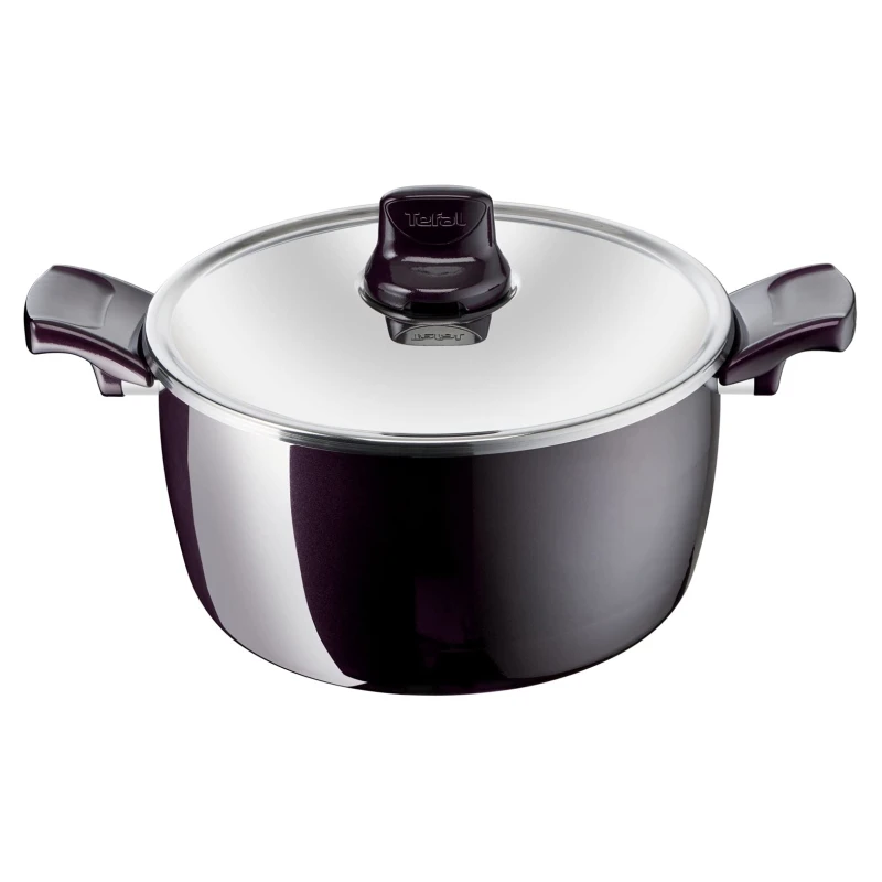 Tefal Resist Intense Stewpot, 22 Cm - Tefal