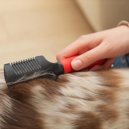 FerPlast Razor Comb - FerPlast - Image 2