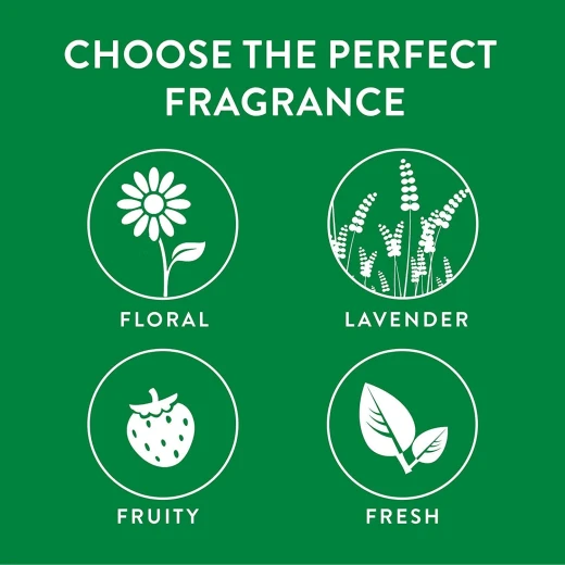 مجموعة معطر جو مع بخاخ آلي, برائحة الحمضيات المتلألئة من ايرويك - ايرويك - Image 5