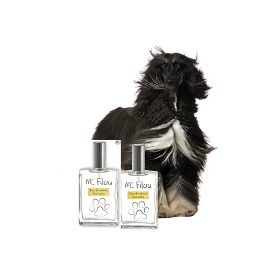 بيفار  بخاخ معطر فاخر مستر فيلو دوج (متوسط) 50 مل - بيفار - Image 2