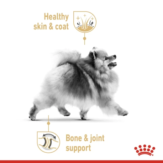 Royal Canin Pomeranian Adult Dry Dog Food, 1.5 Kg - Royal Canin - Image 2