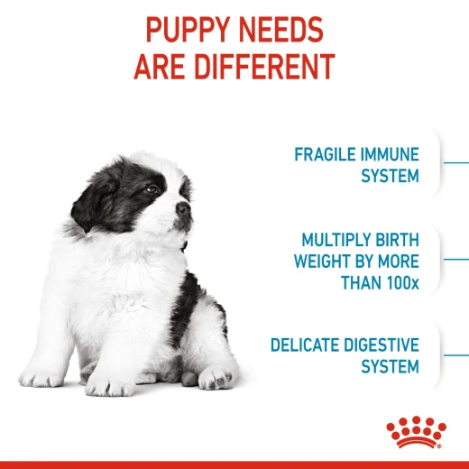 Royal Canin Giant Puppy Dog Food, 15 Kg - Royal Canin - Image 2