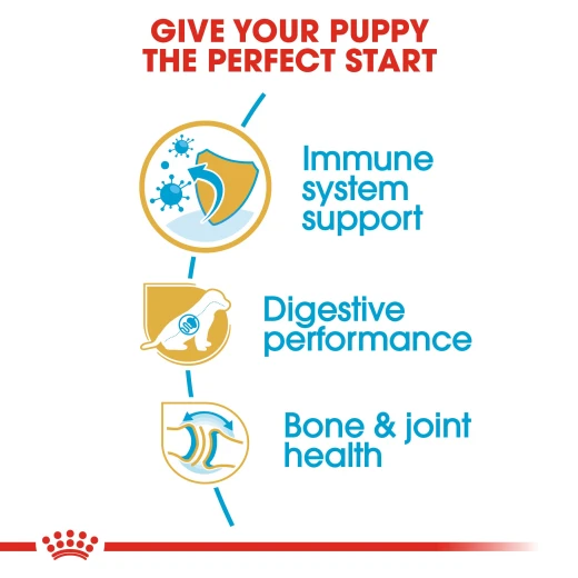 Royal Canin Mini Puppy Dog Food, 4 Kg - Royal Canin - Image 3