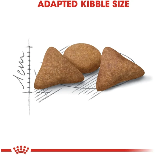 Royal Canin British Shorthair Cat Food, 4 Kg - Royal Canin - Image 2