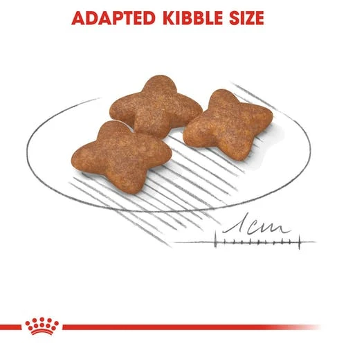 Royal Canin Mini  Adult +8  Dog Food, 2 kg - Royal Canin - Image 2