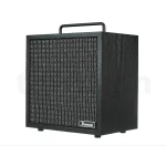 Ibanez Guitar Amplifier Combo, IBZ10GV2 - Ibanez