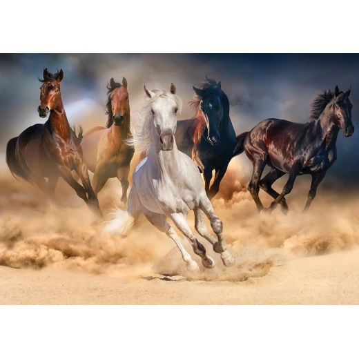 أحجية 1000 قطعة, بتصميم الخيول من كي اس جيمز - كي اس جيمز - Image 2