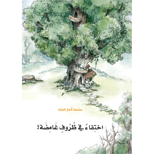 سلسلة الغاز الغابة 3، اختفاء في ظروف غامضة