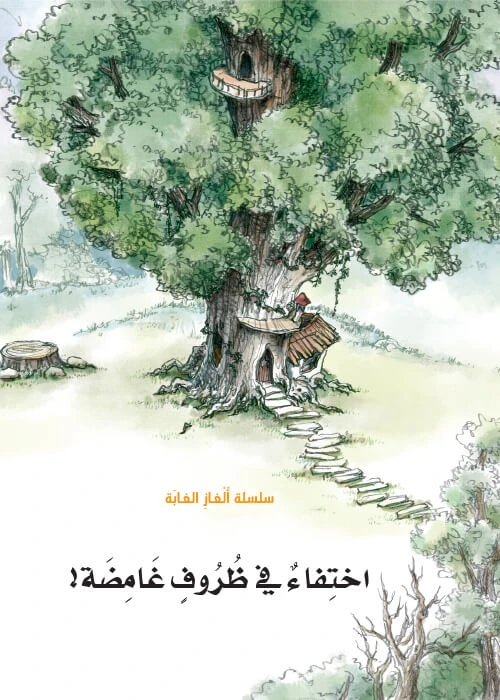 سلسلة الغاز الغابة 3، اختفاء في ظروف غامضة