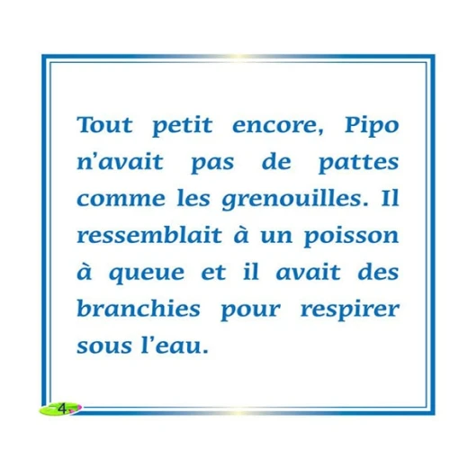 كتاب الاطفال باللغة الفرنسية, أين منزلي - Image 3