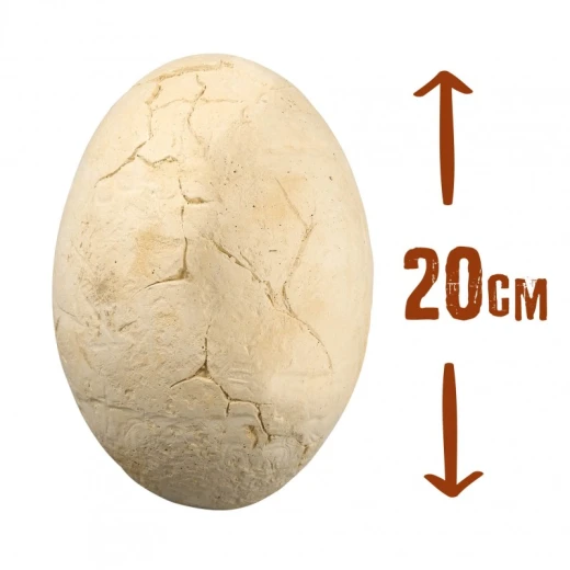 مجموعة اللعب, بيض دينو ميجا  من بوكي - بوكي - Image 5