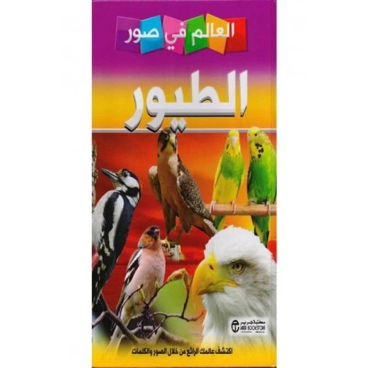 العالم في صور, الطيور