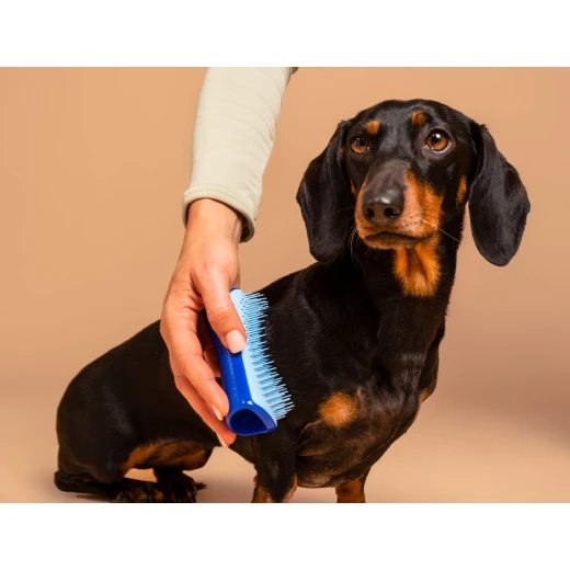 Tangle Teezer Dog Deshedding, Small Size, Blue - Tangle Teezer - Image 2