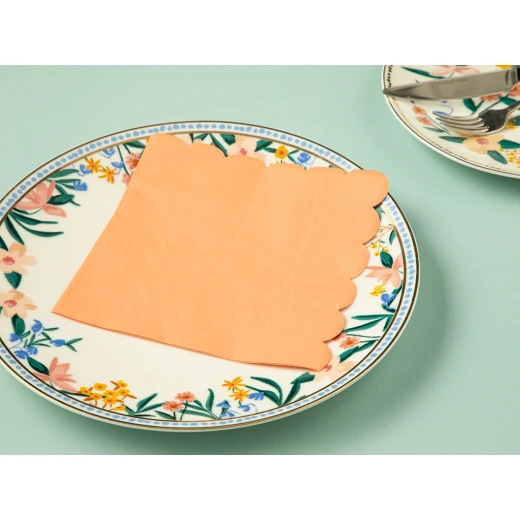 مناديل ورقية فاستيفال, 33*33 سم, سلمون, 20 قطعة من انجلش هوم مناديل ورقية فاستيفال, 33*33 سم, سلمون, 20 قطعة من انجلش هوم