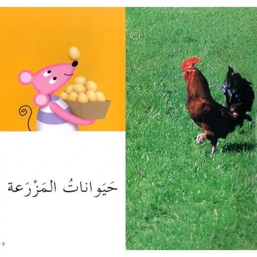 كلماتي المصورة الحيوانات - Image 4