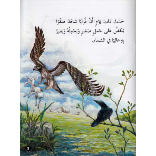 حيوانات في قصص مستوى اول : الغراب الصقر من دار المعارف - دار المعارف - Image 2