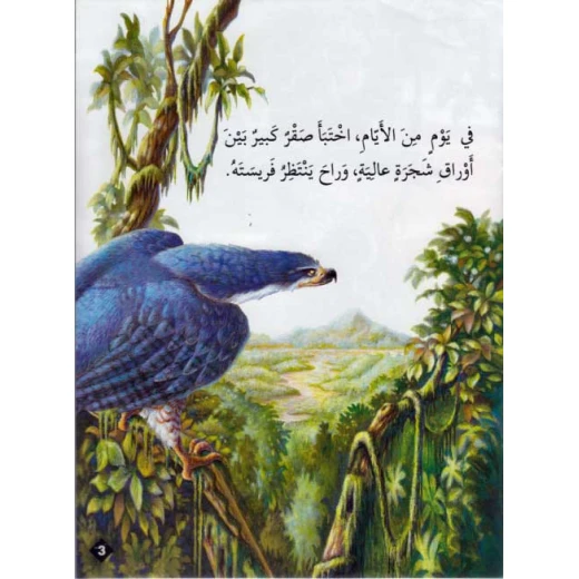 حيوانات في قصص مستوى اول : خدعة تقتل صقرا من دار المعارف - دار المعارف - Image 2