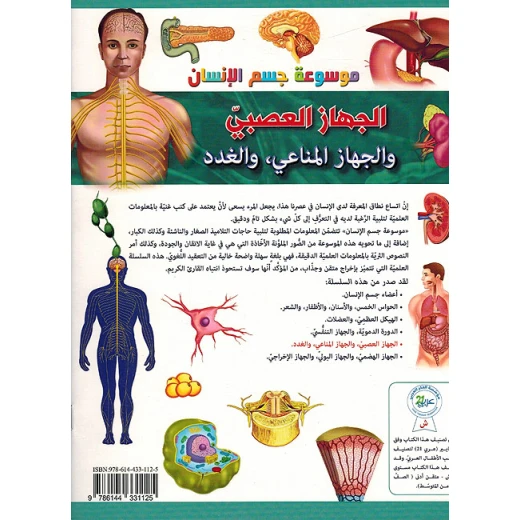 تجربة تطبيقية عن الجهاز العصبي - Image 3