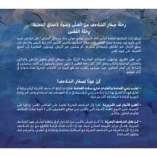 قصة : سباق السلاحف إلى البحر - Image 3