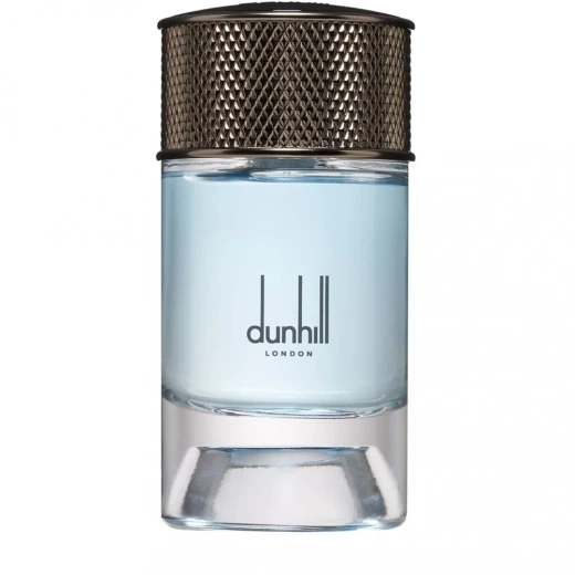 دنهل نورديك فوجير ماء عطر 100 مل: عطر خشبي عطري للرجال مع ملاحظات العنبر والعود والجلد وشجرة البن - دنهيل - Image 2