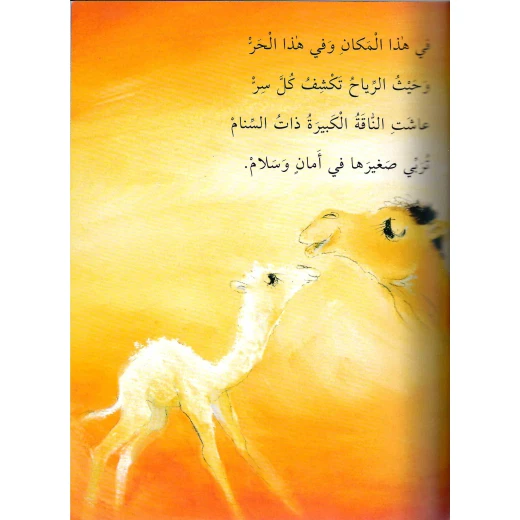 معارف: حدوب الجمل الصغير - Image 2