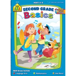 Second Grade Basics Deluxe Edition Workbook