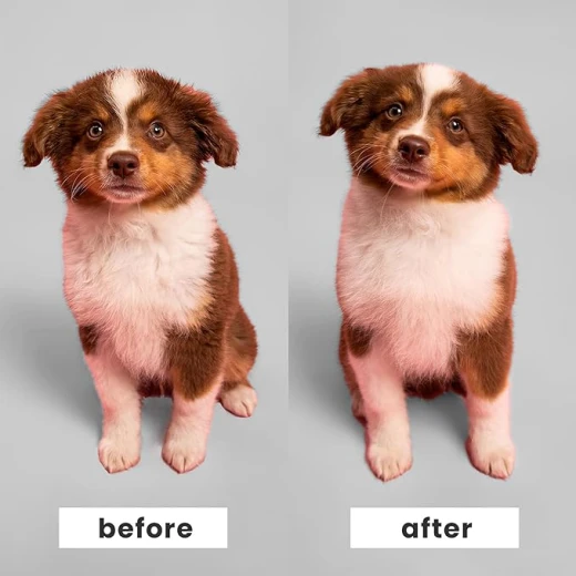 فرشاة تانجل تيزر للجراء من بيت تيزر باللون الأخضر - تانجل تيزر - Image 2