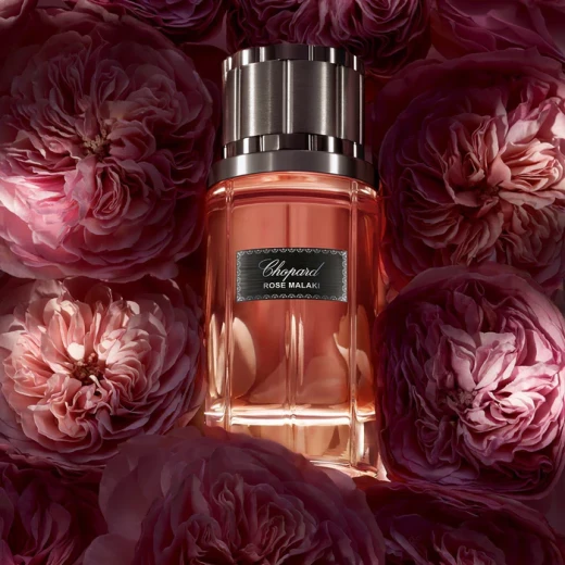 شوبارد روز مالاكي ماء عطر ٨٠ مل: عطر خشبي زهري حسي للنساء والرجال - شوبارد - Image 3