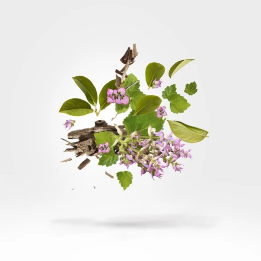 عطر زيرجوف كي بلو هوليزم للجنسين 1.7 أونصة عطور أو دي بارفان للرجال والنساء - زيرجوف - Image 2