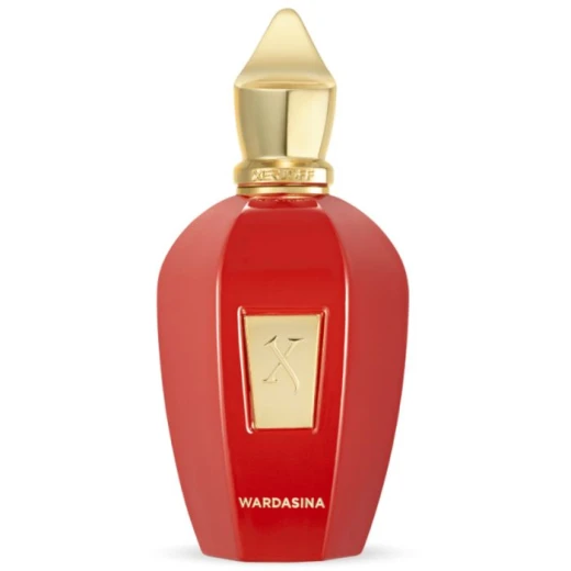 زيرجوف ليلتي ماء عطر 100 مل: عطر للجنسين زهري خشبي للرجال والنساء زيرجوف ليلتي ماء عطر 100 مل: عطر للجنسين زهري خشبي للرجال والنساء