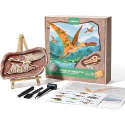 Mideer - Steam Game Revive Pterosaur