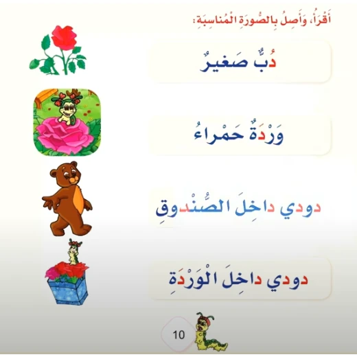 كتاب دودي والدب الصغير من دارالزينات - دار الزينات - Image 2