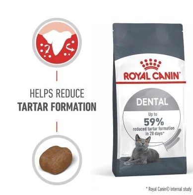 Royal Canin Feline Dental Care Adult Dry Cat Food, 1.5kg - Royal Canin - Image 2