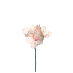 Leonardo Fiore Amaryllis Flower H 70cm Apricot