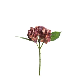 Leonardo Fiore Hydrangea Flower H 42cm Roses