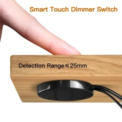 Dimmable Penetrable Touch Switch