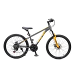 كينج الومنيوم 24 بوصة من رويال بيبي - رويال بيبي
