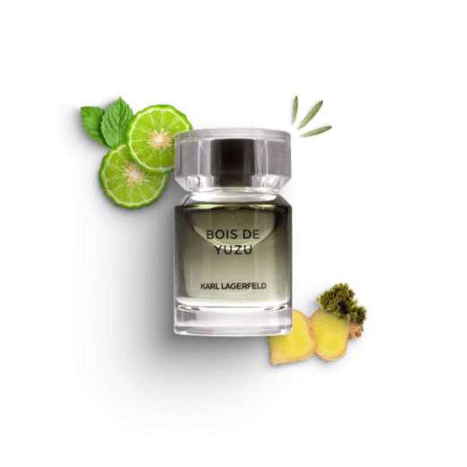 عطر لاغرفيلد للرجال بوي دو يوزو – ماء تواليت 50 مل عطر رجالي مميز يتميز بنفحات منعشة من اليوزو مع لمسات خشبية من كارل لاغرفيلد - كارل لاغرفيلد - Image 2