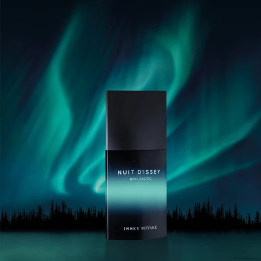 عطر نوي دي إيسي بوا أركتيك أو دو بارفان للرجال 100 مل من إيسي مياكي - ايسي مياكي - Image 2