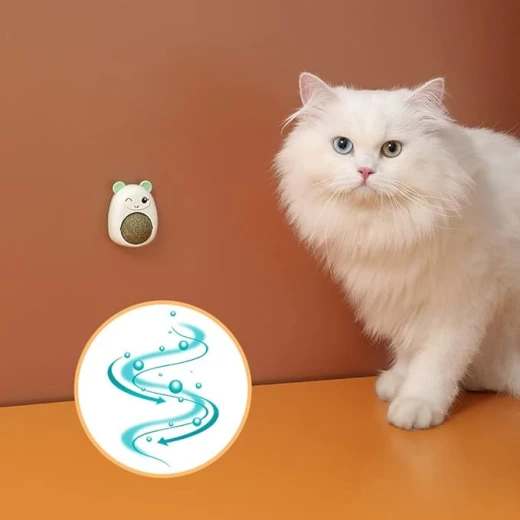 كرة حائط من عشبة النعناع للقطط، لعبة كرات عشبة النعناع على شكل دب صغير كرتوني، وجبة خفيفة تفاعلية للقطط، ألعاب مضغ صحية طبيعية للقطط، لعبة دوارة داخلية للقطط لتنظيف أسنان القطط والعض باللون الاخضر - بتس - Image 3