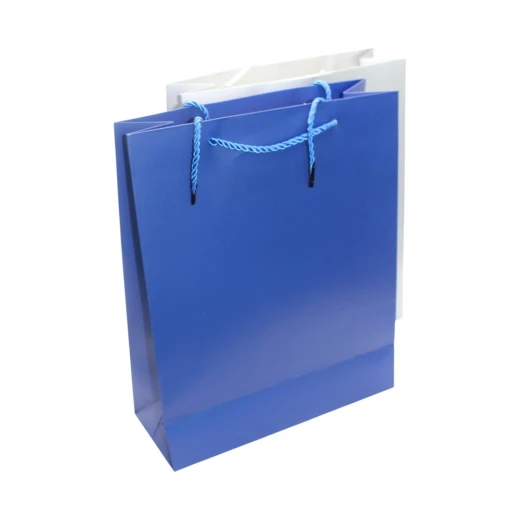 Gift Bag High-Quality Cardboard Paper, Eco-Friendly, Elegant Design with Strong Handle for All Occasions 14x21 cm Gift Bag High-Quality Cardboard Paper, Eco-Friendly, Elegant Design with Strong Handle for All Occasions 14x21 cm