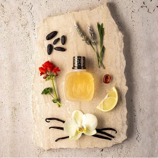 عطر مينوطور أو دو تواليت للرجال مع نوتات البرغموت والياسمين وخشب الصندل، 75 مل / 2.5 أونصة سائلة  بالوما بيكاسو - بالوما بيكاسو - Image 4