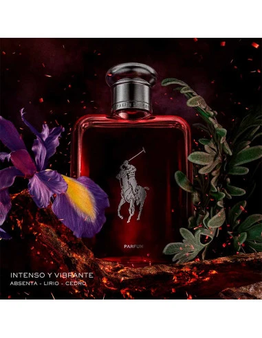 عطر رالف لورين بولو ريد للرجال 75 مل عطر حمضيات عطرية بخاخ عطر مكثف - رالف لورين - Image 5