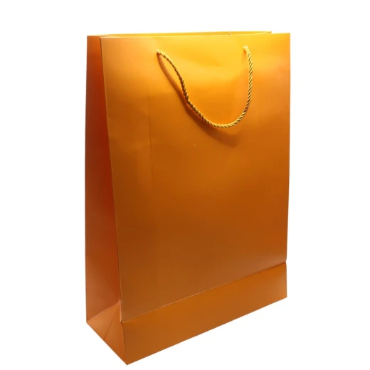 Cardboard Paper Bag 297 × 420 mm Cardboard Paper Bag 297 × 420 mm