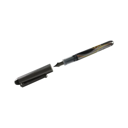 قلم حبر جاف بايلوت V-Pen فضي للاستعمال مرة واحدة حبر أسود 0.4 مم (عبوة من 12) قلم حبر جاف بايلوت V-Pen فضي للاستعمال مرة واحدة حبر أسود 0.4 مم (عبوة من 12)