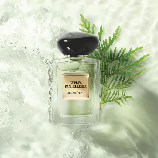 عطر جورجيو أرماني بريف سيبريس بانتيليريا منعش او دي تواليت 100 مل عطر للجنسين رائحة منعشة - جورجيو أرماني - Image 6