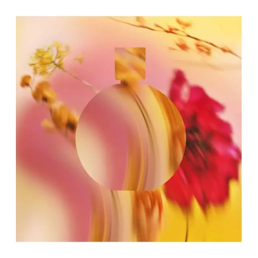 شانيل شانص أو دو بارفان 100 مل عطر زهري حار للنساء هدية عطر أنيقة - شانيل - Image 4