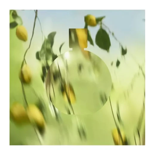 شانيل شانص أو فريش 100 مل ماء عطر للنساء عطر زهري منعش عطر أنيق - شانيل - Image 4