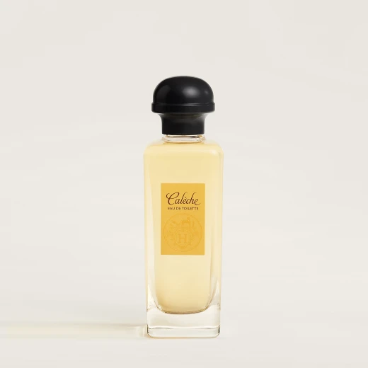 هيرمس كالش او دي تواليت 100 مل عطر كلاسيكي للنساء عطر زهري فاخر هيرمس كالش او دي تواليت 100 مل عطر كلاسيكي للنساء عطر زهري فاخر